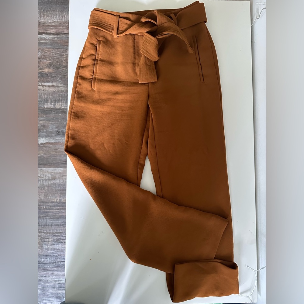 Aritzia pants